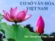 Bài giảng Cơ sở văn hóa Việt Nam - ThS. Huỳnh Thị Thùy Trinh