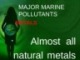 Lecture Marine environmental studies - Topic: Major marine pollutants - Metals