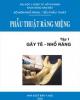 Ebook Phẫu thuật miệng (Tập 1: Gây tê - nhổ răng) - TS.BS. Lê Đức Lánh (chủ biên)