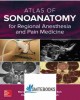 Ebook Regional anesthesia and pain medicine with the alat of sonoanatomy: Part 2