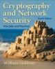 Ebook Cryptography and Network Security Principles and Practices: Part 2