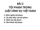 Bài giảng Luật Hình sự Việt Nam - Bài 2: Tội phạm trong Luật Hình sự Việt Nam