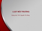 Bài giảng Luật môi trường: Bài 1 - ThS. Nguyễn Thị Hằng