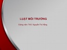 Bài giảng Luật môi trường: Bài 4 - ThS. Nguyễn Thị Hằng