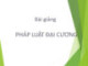 Bài giảng Pháp luật đại cương - Chương 1: Những vấn đề lý luận cơ bản về nhà nước