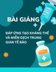 Bài giảng Đáp ứng tạo kháng thể và miễn dịch trung gian tế bào - BS. Nguyễn Thị Như Ly
